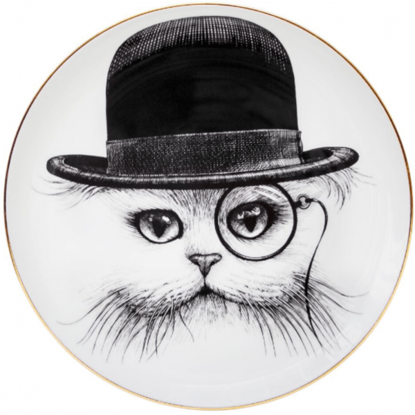Cat In Hat